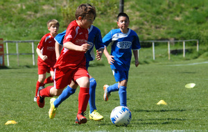 5aae6a138338d_17040884.jpg
