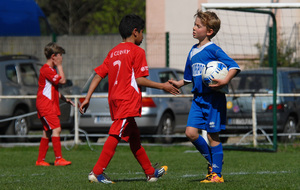 5aae6a30eb53a_170408136.jpg