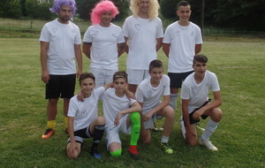 5ab001e627fcb_SAM6443.JPG