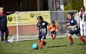 5ca1d6202dded_DSC8496a.jpg