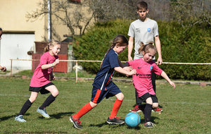 5ca1d64590a29_DSC8501a.jpg
