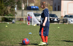 5ca1d657b502d_DSC8502b.jpg