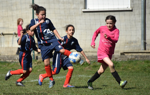 5ca1e9808db6c_DSC8353a.jpg