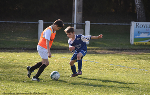5ca1fc3744207_DSC8856a.jpg