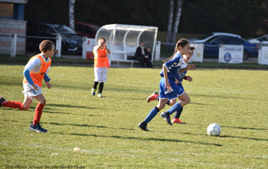 5ca1fc4bdca62_DSC8857a.jpg