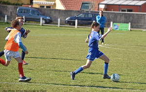 5ca1fc601817c_DSC8859a.jpg