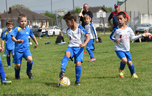 5d11201eafdeb_DSC6014a.jpg