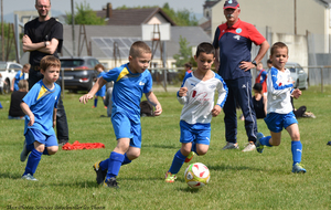 5d1120322871c_DSC6019a.jpg