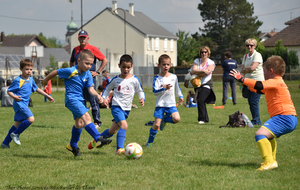 5d112045f39b1_DSC6021a.jpg