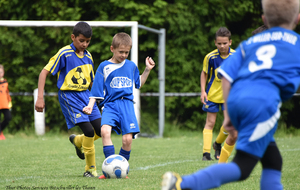 5d13192c198f7_DSC6438a.jpg