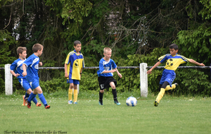 5d13194f49cd3_DSC6451a.jpg