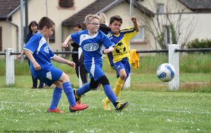 5d13196d5c447_DSC6454a.jpg