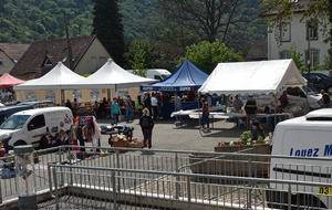 5d13bd029948e_DSC7198a.jpg