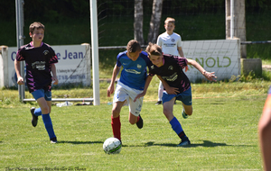 5d13dbd9282fb_DSC7441a.jpg
