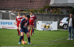 5e32d8b822c19_DSC2190a.jpg