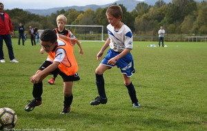 5e32f2a01cb1e_DSC8545a.jpg