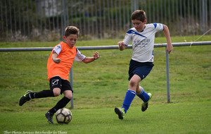 5e32f2a6b277f_DSC8548a.jpg