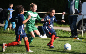 5e32f3516a653_DSC8270a.jpg